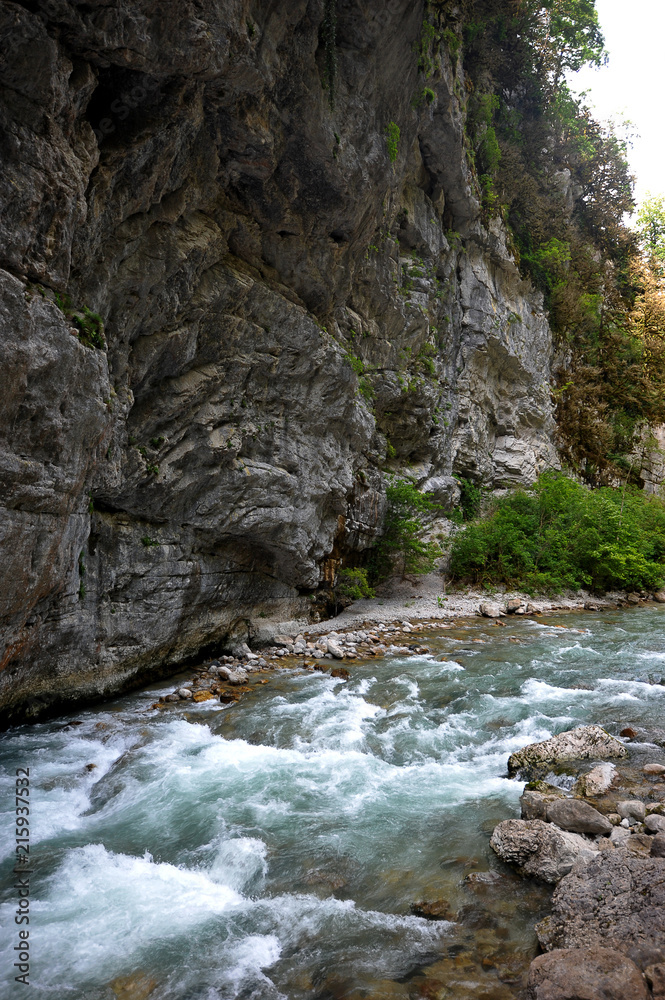 Obraz premium mountain river in Abkhazia