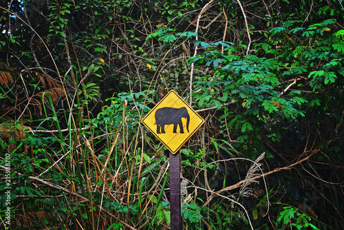 Elephant shape on the signboard in the forest, national park photo