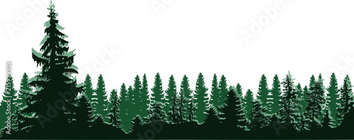 high green fir trees forest isolated on white