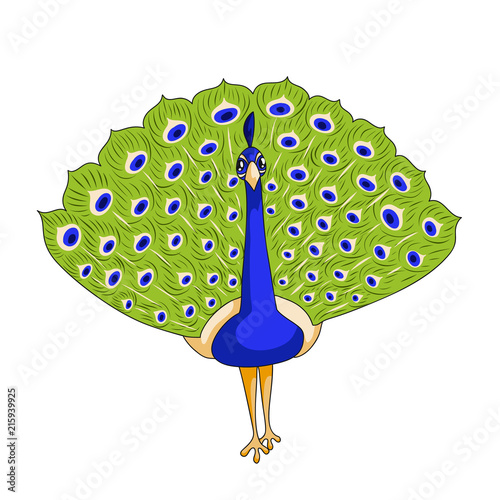 Peacock bird icon. 