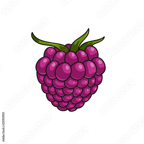 Raspberry berry icon