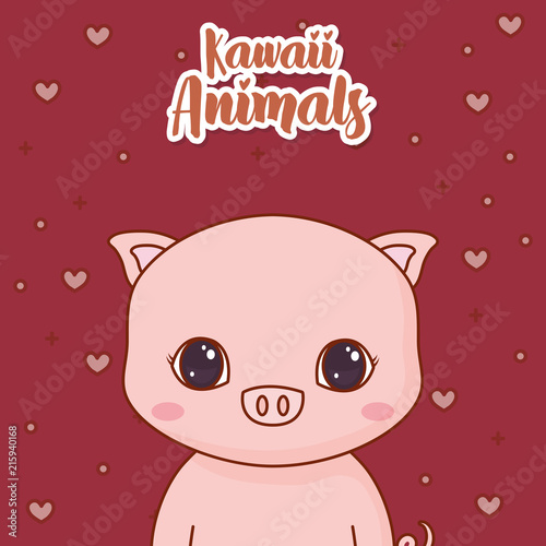 Kawaii pig icon and decorative hearts around over red background, colorful design. vector illustration