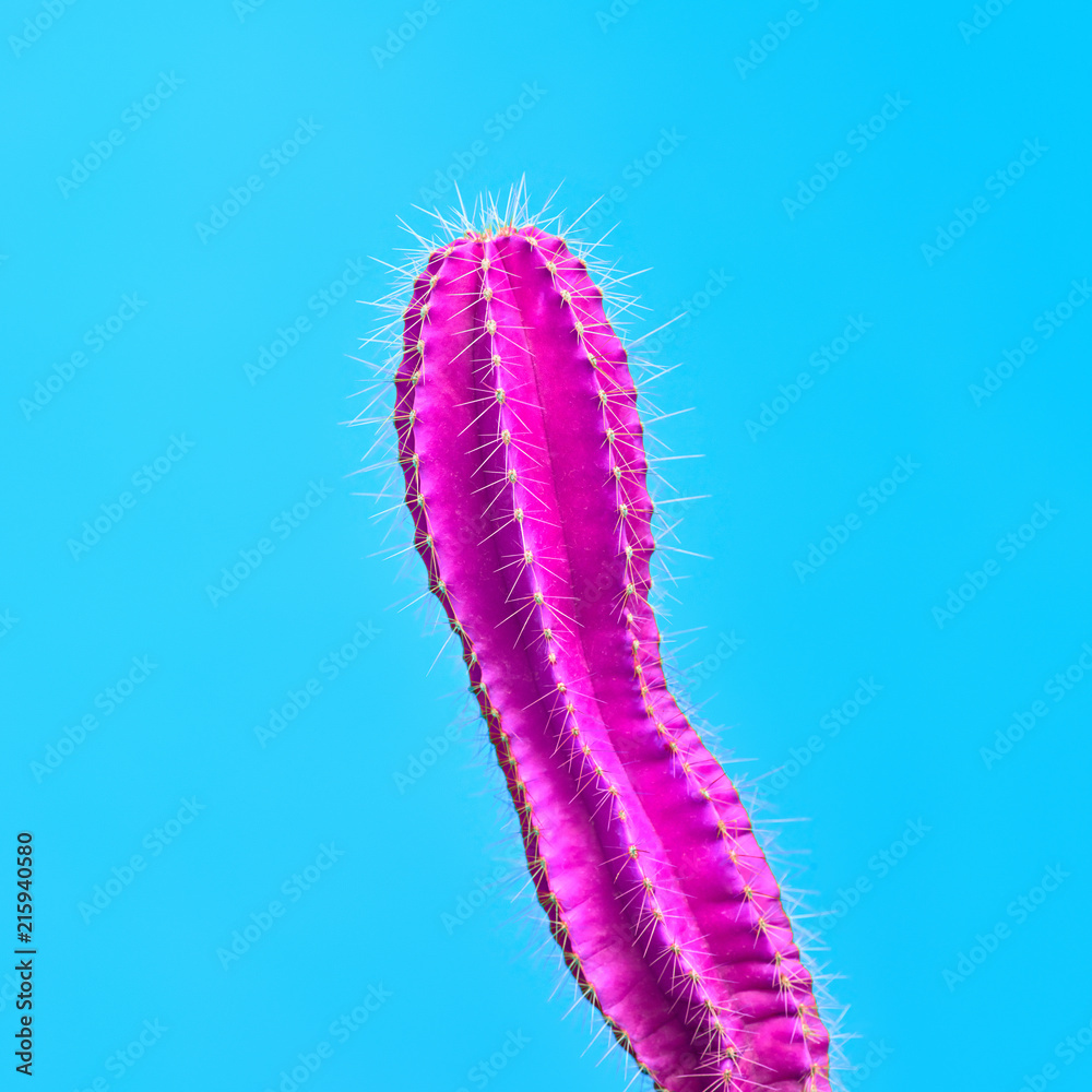 Cactus. Minimal Fashion. Creative Design. Art