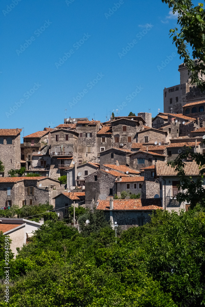 Houses and castle of a feudal town surrounded by trees.