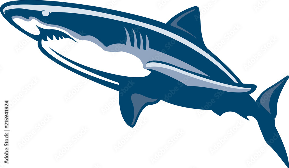 Fototapeta premium Great white shark