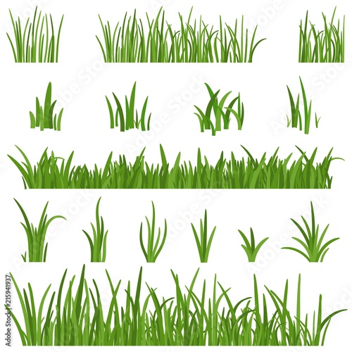 Set of green Grass isolated on white background. Grass heights design elements of nature. Lawn vector illustration