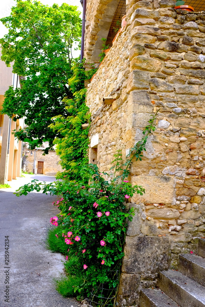 Fototapeta premium village fleurie montoison drôme