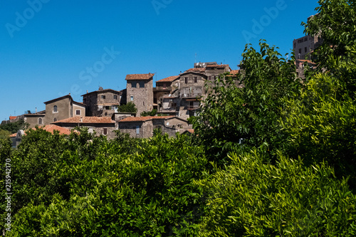Landscape view of a medieval village surrounded by nature. © Alessandro Vecchi