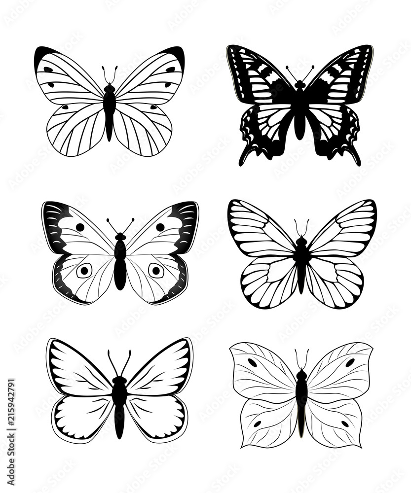 Butterfly  silhouette  icon set. Simple set of butterfly vector 