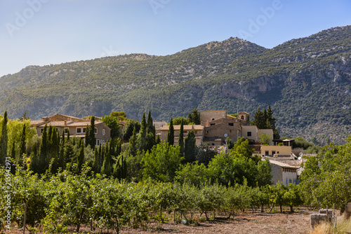 Sunny day in Orient, a small town in Mallorca photo