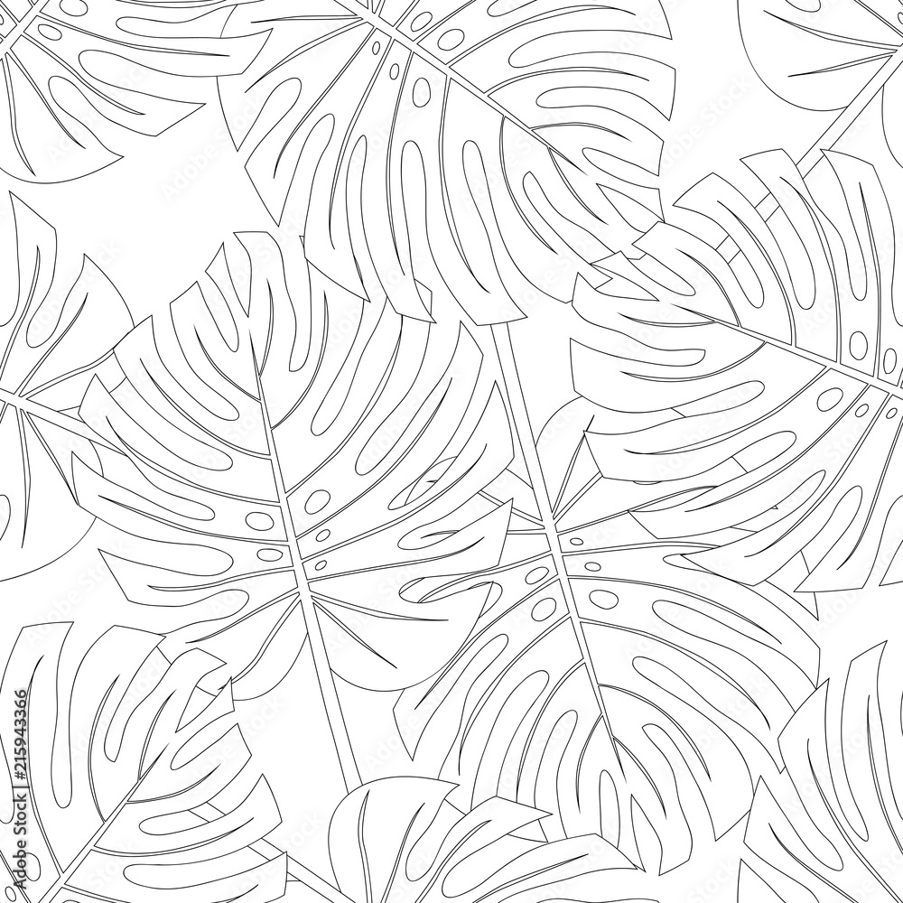 Philodendron Monstera Leaf Seamless Outline isolated on White Background.