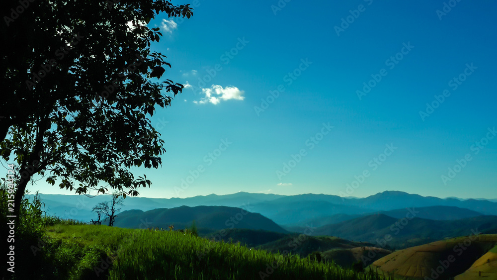 Panoramic View Of Agricultural Field Against Sky in Chiang Mai Thailand. Panoramic View Of Agricultural Field Against Sky in Chiang Mai Thailand.