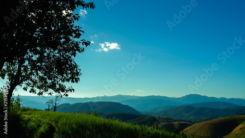 Panoramic View Of Agricultural Field Against Sky in Chiang Mai Thailand.