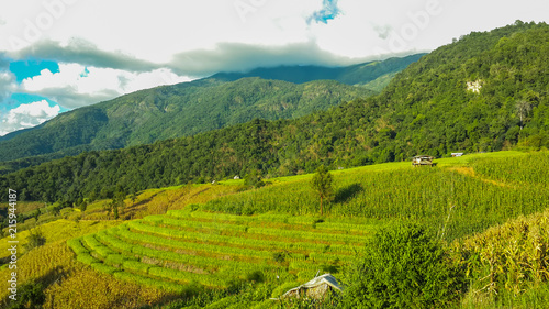 Panoramic View Of Agricultural Field Against Sky in Chiang Mai Thailand.