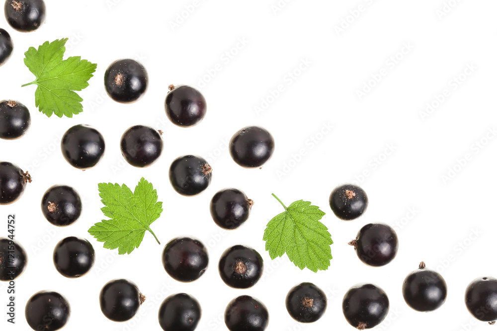 black currant isolated on white background with copy space for your text. Top view. Flat lay pattern black currant isolated on white background with copy space for your text. Top view. Flat lay pattern