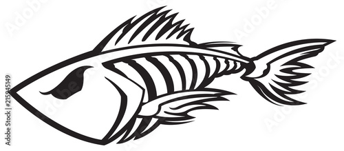 Fish skeleton