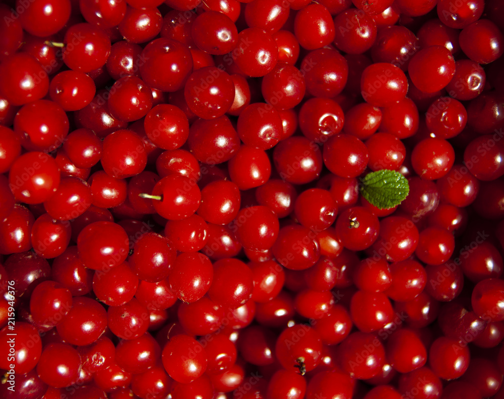 Cherry full background Cherry full background