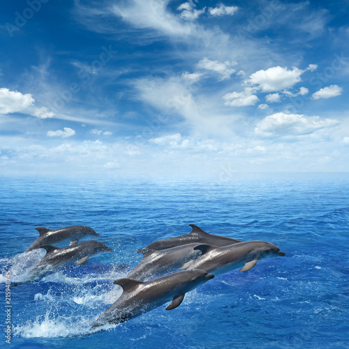 Dolphins jumping out of clear blue sea, blue sky with white clouds © IgorZh