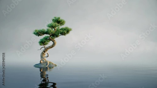 Lonely tree in calm water with waves. Bonsai alone tree minimal concept. Calm lake water relaxing , meditation, abstractive, surreal, dreamy loop animation.