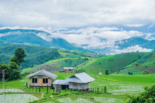 Bilde på lerret View Terraced Paddy Field in Mae-Jam Village, Chaingmai, Thailand