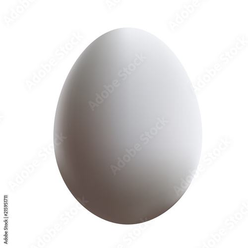 white chicken egg