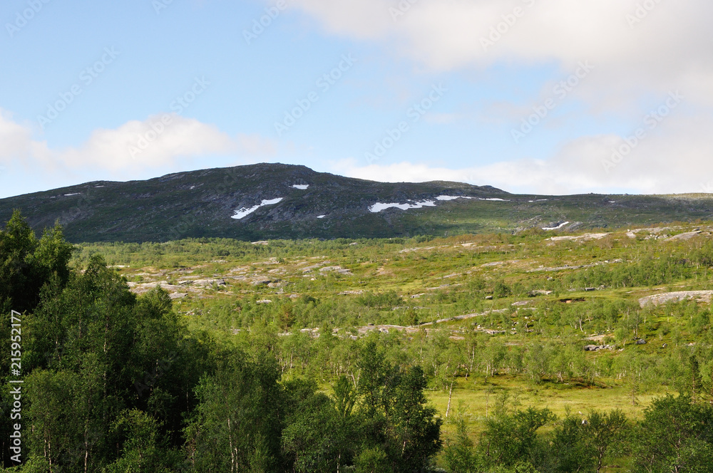 Obraz premium Saltfjellet
