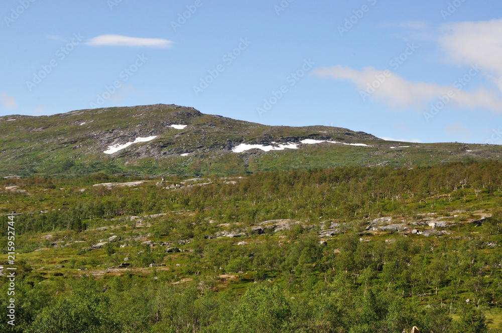 Fototapeta premium Saltfjellet