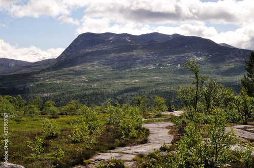 Saltfjellet photo