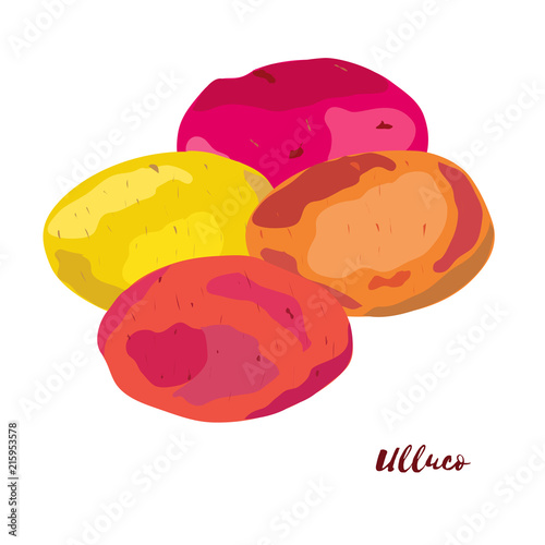 Ulluco. Flat design. Vector illustration.