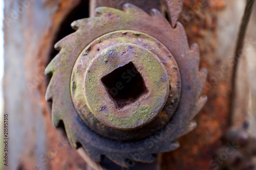 Rusty old cogwheel - Corroded metalic mechanical cogged wheel