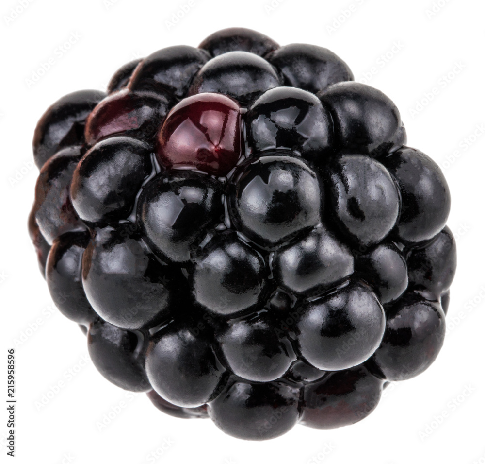 Blackberry isolated on white background clipping path Blackberry isolated on white background clipping path