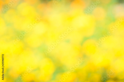 Natural yellow blurred background. Abstract blurred nature lights background.