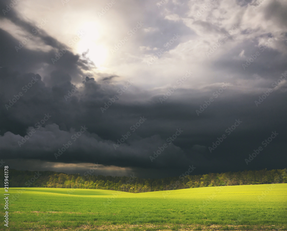 Beatiful morning green field with blue heaven