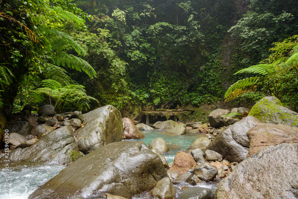 Mountain creek in canyon. Jungle river on a tropical island. Philippines, Asia Mountain creek in canyon. Jungle river on a tropical island. Philippines, Asia
