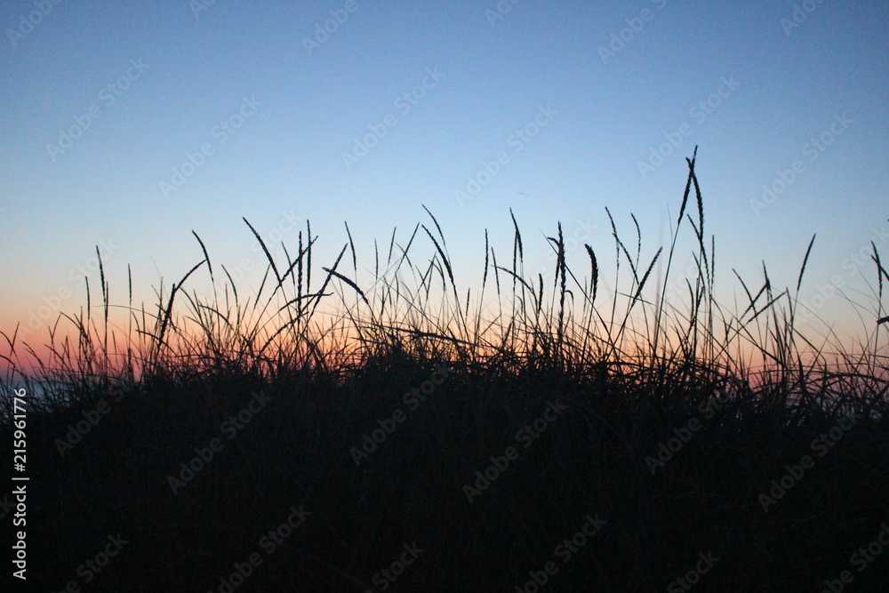 Obraz premium sunset in dunes