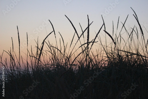 sunset in dunes