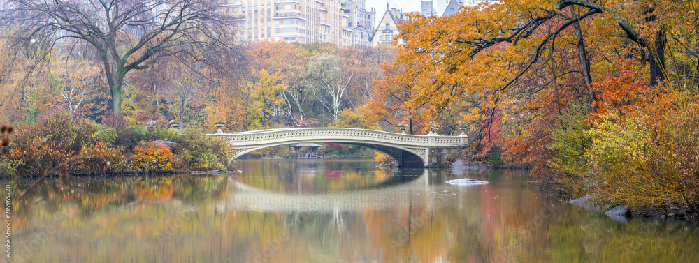 Bow bridge Central Park