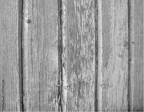 the wooden old peeled boards. texture from a tree. gray background.