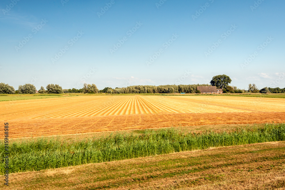 Colors and lines in a rural landscape