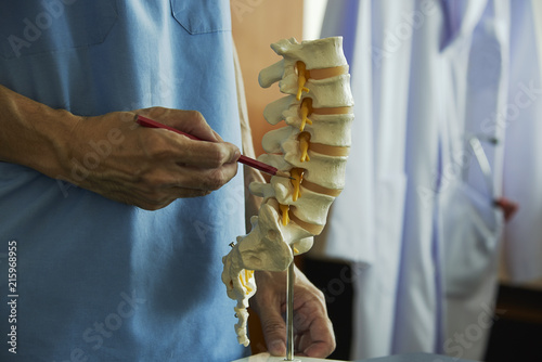 Bilde på lerret A neurosurgeon  pointing at lumbar vertebra model in medical office