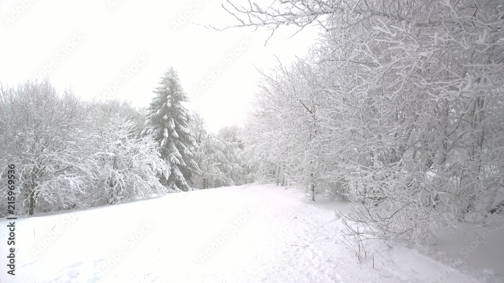 Fototapeta premium Winterlandschaft