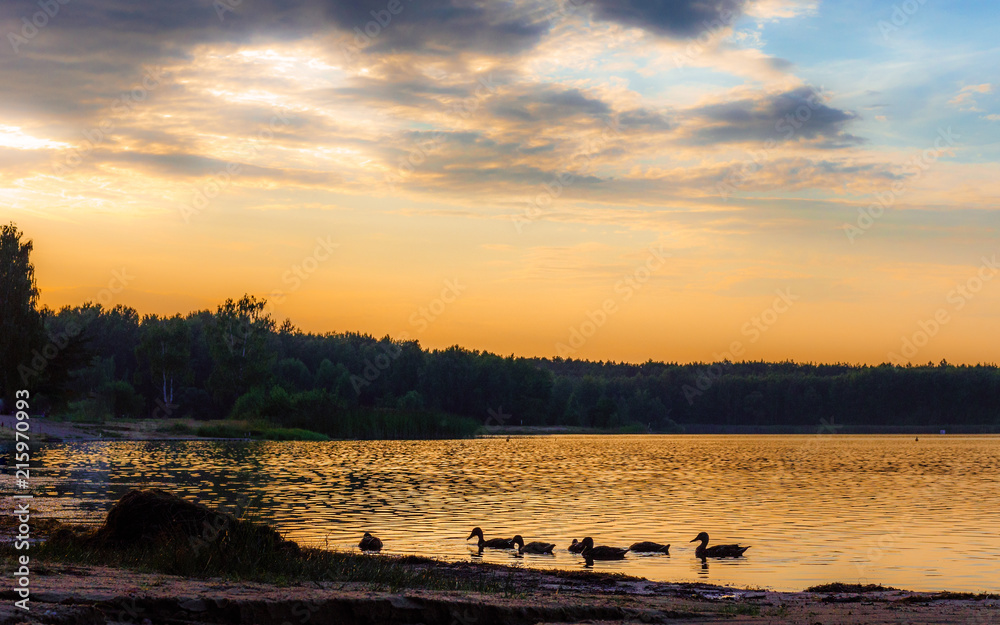 Naklejka premium Sunset over the recreational lake, you can see ducks and boats. Beautiful orange colors, big contrast. Holidays and rest.