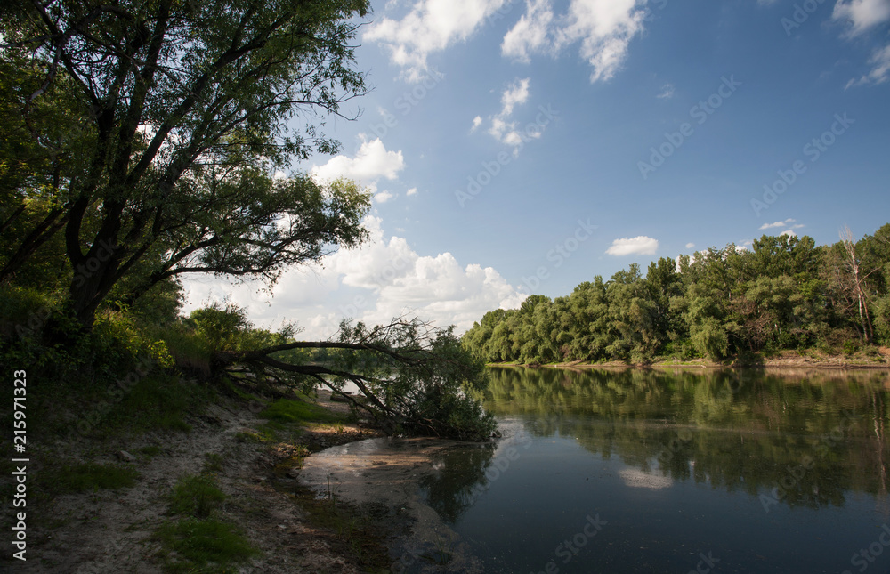 landscape with river