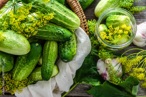 Preparation pickling cucumber. Fresh herbs, dill, garlic and cucumbers in jar. Preserves for winter.
