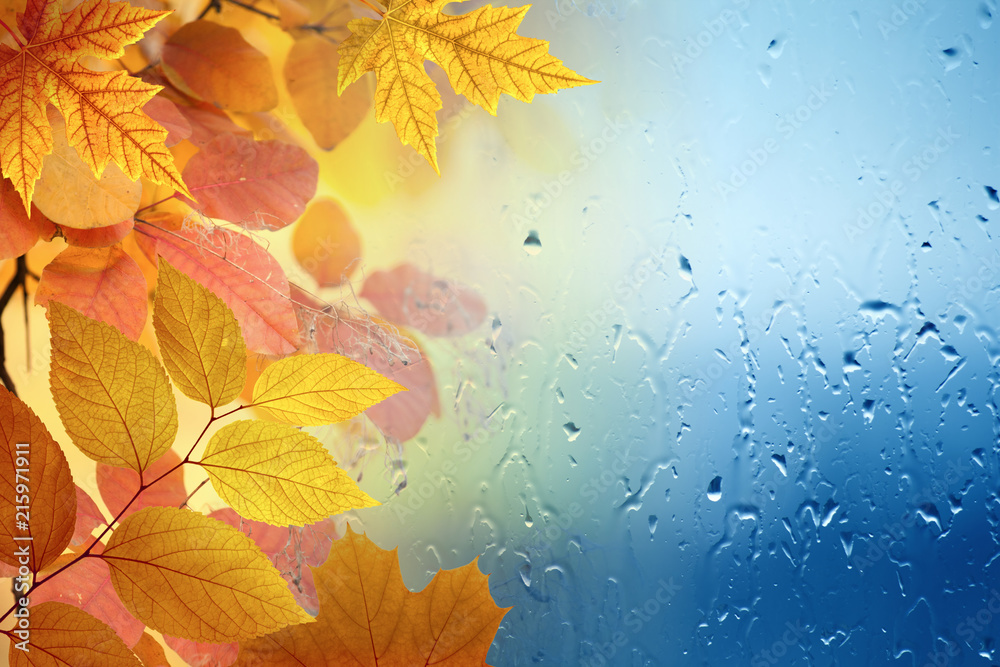 Fall rainy day, yellow and orange leaves are visible through glass wet from raindrops