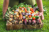 Farmer with a vegetable box, freshly harvested produce in the garden - farm fresh vegetables, organic farming concept