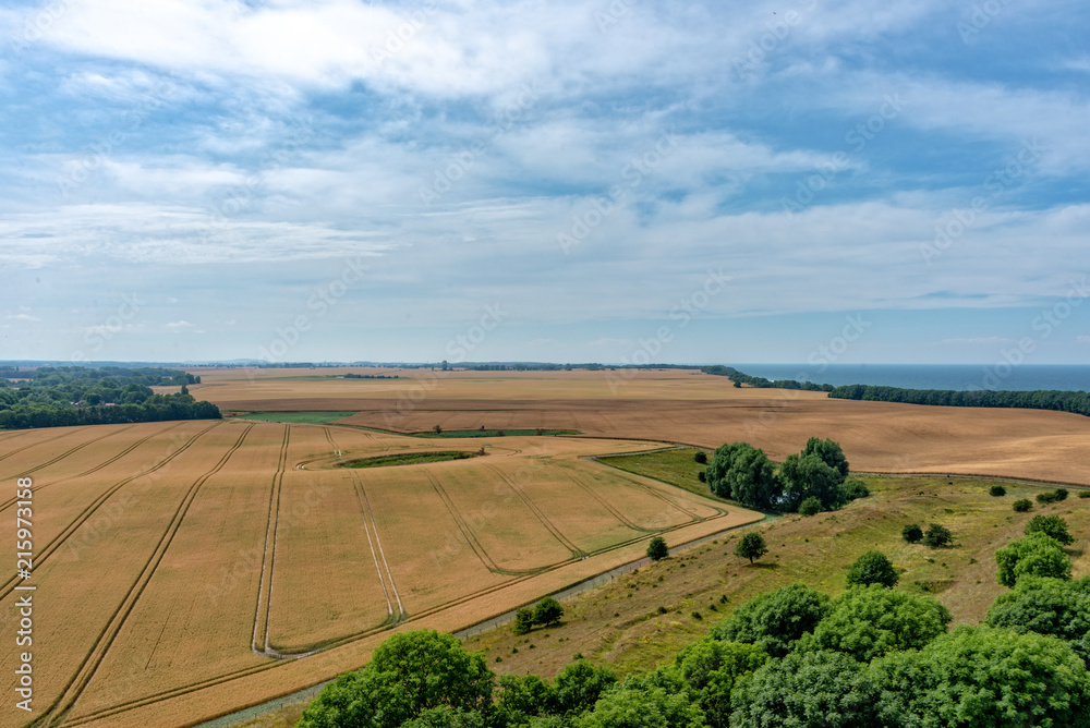 Grain fields near Cape Arkona