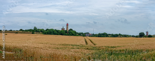 Grain fields near Cape Arkona