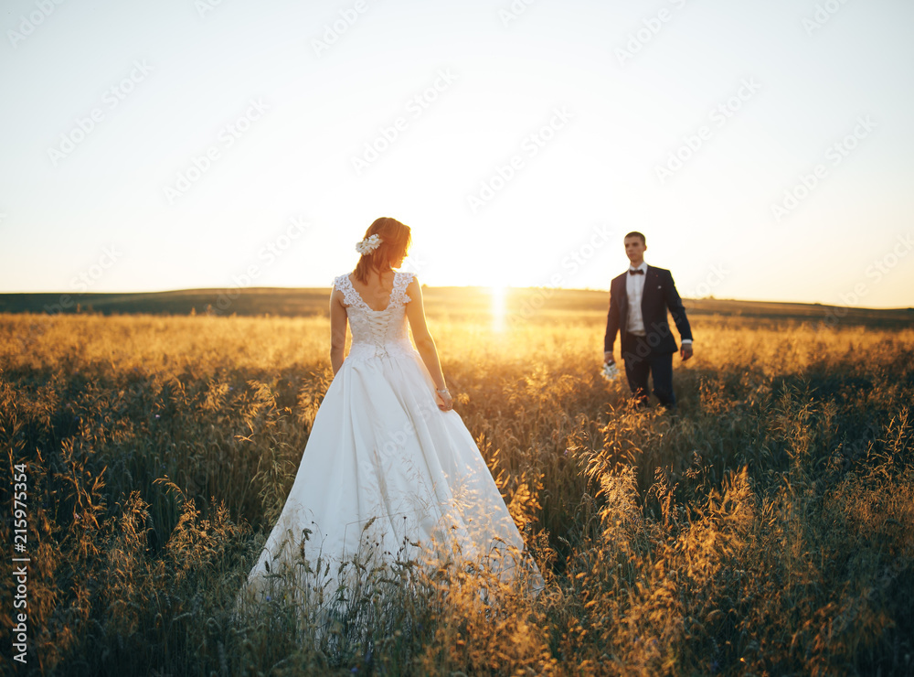 Young couple walking in the wheat field at sunset Young couple walking in the wheat field at sunset