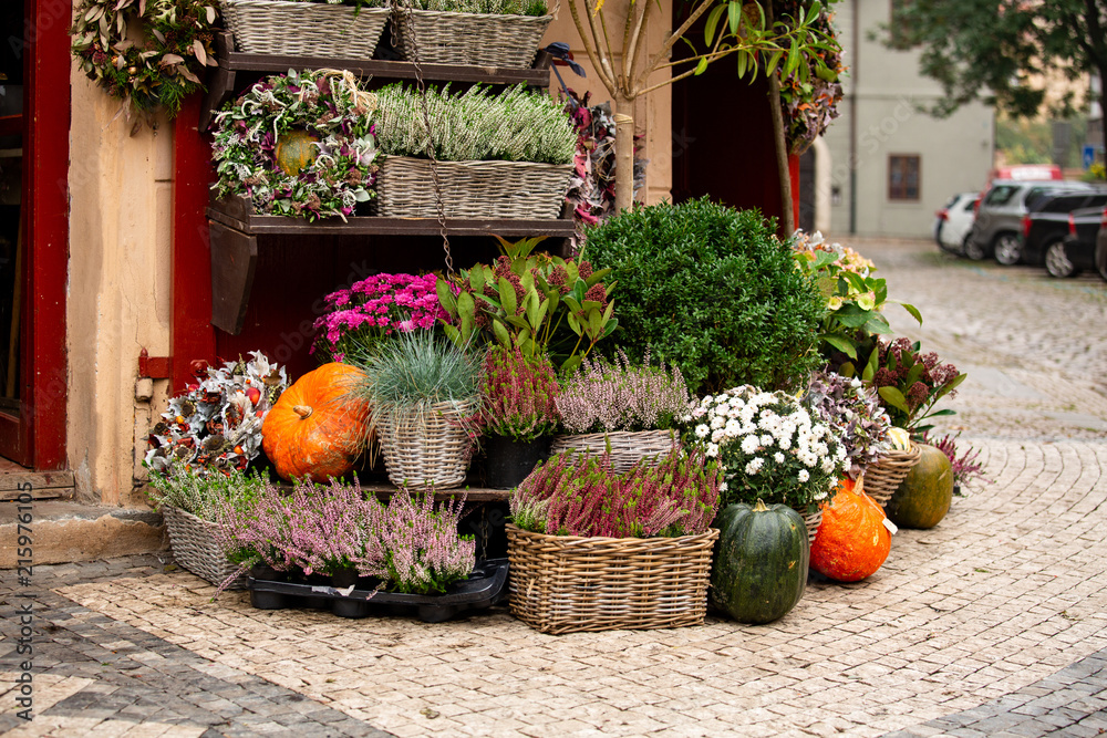 Obraz premium Autumn decoration with pumpkins and flowers at a flower shop on a street in a European city
